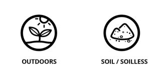 soil and soilless medium