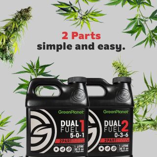 Twinning this January with Dual Fuel, our 2-part base nutrient. This dynamic duo is formulated to be easy, simple, and save time and money. What's not to love about a 1:1 ratio, clean and highly soluble formula, used in equal parts? 

Shop Dual Fuel >>> Link in bio https://greenplanetnutrients.com/product/dual-fuel/

#greenplanetnutrients #mygreenplanet #gpgrown #greenplanet #nutrients #clean #conscious #canadian #fertilizer #yields #garden #gardening #grow #growers #indoorgarden #outdoorgarden #hydroponics #quality #craft #innovation #hobby #commercial #community #purity #harvest