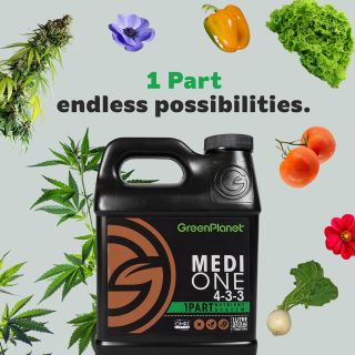 Medi One: 1 Part Base Nutrient is 1 part endless possibilities for the organic gardener or the medical grower. Medi One is OMRI Listed for Organic Use, which means that the ingredients that go into producing Medi One are backed against industry standards for organic fertilizer production. So, rest assured you're getting the top quality organic nutrients your plants deserve. Now, go on and grow healthy organic vegetables, fruits, flowers and more! 

Shop Medi One >>> Link in Bio https://greenplanetnutrients.com/product/medi-one/

#greenplanetnutrients #mygreenplanet #gpgrown #greenplanet #nutrients #clean #conscious #canadian #fertilizer #yields #garden #gardening #grow #growers #indoorgarden #outdoorgarden #hydroponics #quality #craft #innovation #hobby #commercial #community #purity #harvest