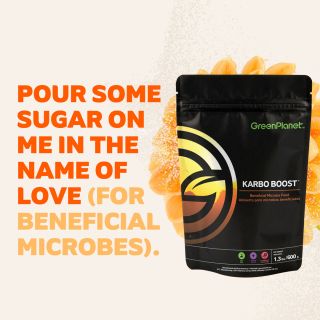 In the words of Def Leppard: "Pour some sugar on me... in the name of love", we want to make billions of tiny special someones feel special this Valentine's... We're talking about Beneficial Microbes, of course. Our gift to them this year is Karbo Boost, our premium carbohydrate food for Beneficial Microbes. Show the good bacteria in your garden some love this Valentine's with Karbo Boost. For all they do for your garden, they deserve a sweet treat 😉 

Shop Karbo Boost >>> https://greenplanetnutrients.com/product/karbo-boost/

#greenplanetnutrients #mygreenplanet #gpgrown #greenplanet #nutrients #clean #conscious #canadian #fertilizer #yields #garden #gardening #grow #growers #indoorgarden #outdoorgarden #hydroponics #quality #craft #innovation #hobby #commercial #community #purity #harvest